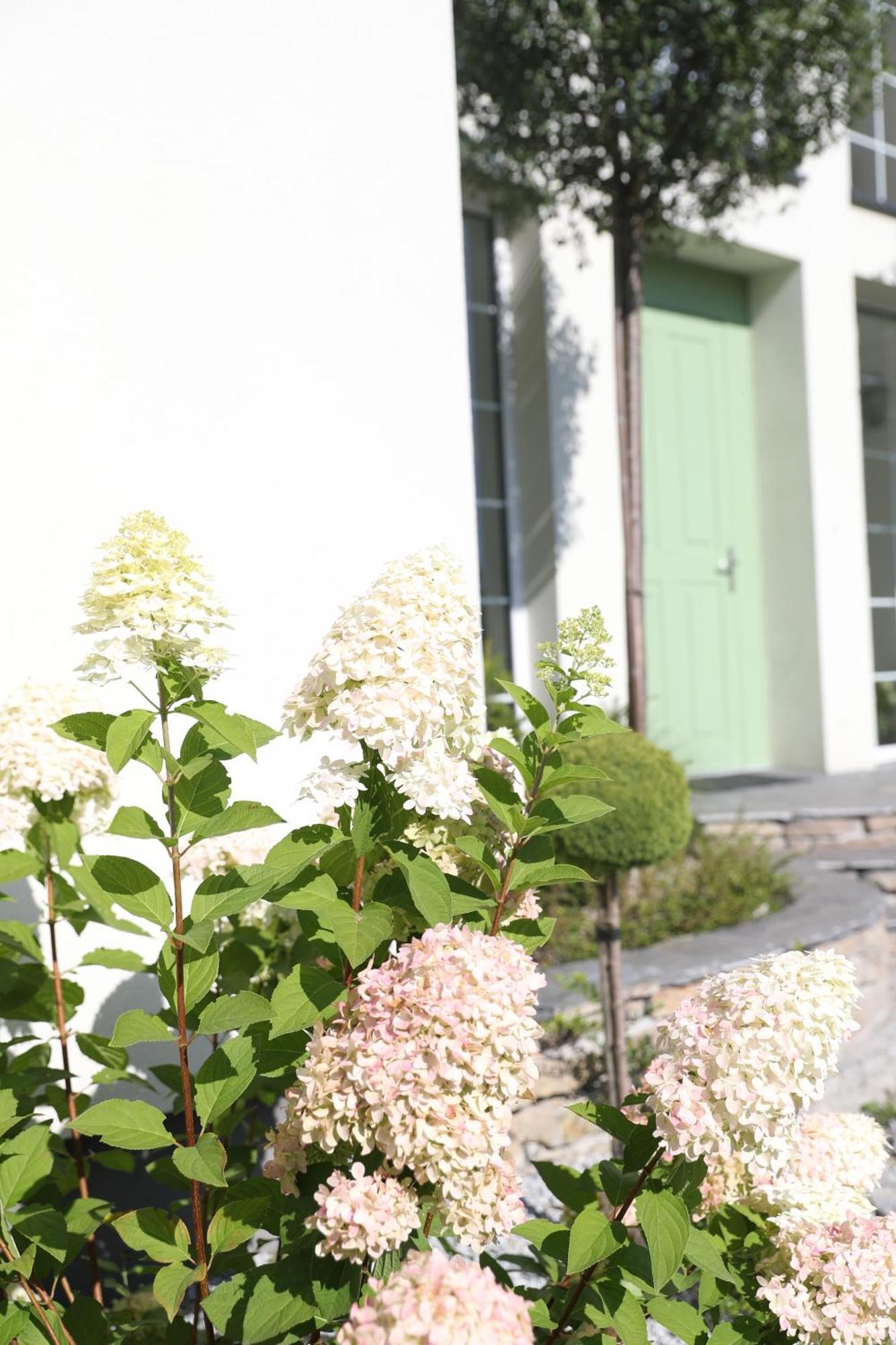 The Peaceful House Homestay *